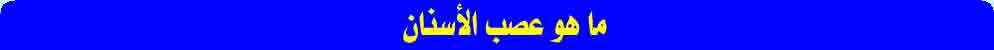 ما هو عصب الأسنان
