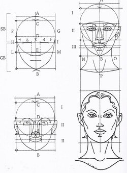 قواعد والأسس العلمية والعملية لتجميل الأسنان
