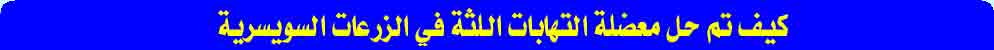 كيف تم حل معضلة التهابات اللثة في الزرعات السويسرية الفرنسية TBR